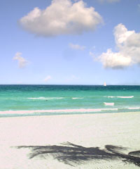 Florida Beach