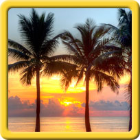 Florida Sunset